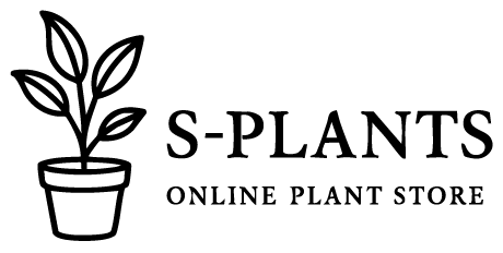 S-PLANS